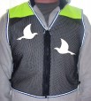 doves front